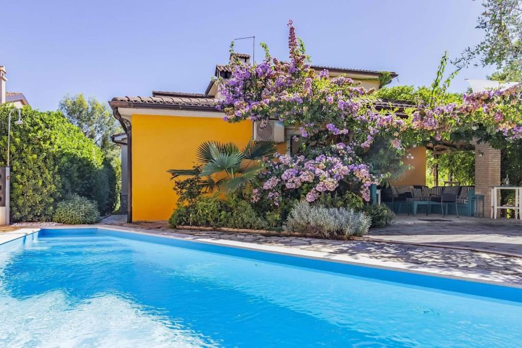 Istriensonne 0179 - Villa Romantika Mit Pool Ližnjan エクステリア 写真